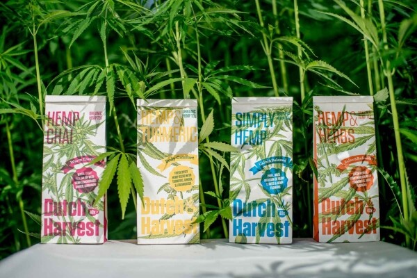 Hemp Chai - Té de Hennep Chai 50 gramos - Dutch Harvest té suelto