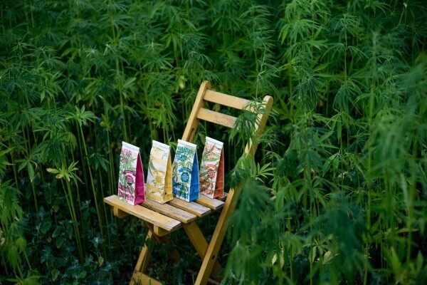 Simply Hemp - Té de cáñamo puro 40 gramos - Dutch Harvest té suelto